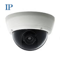 IP Cameras